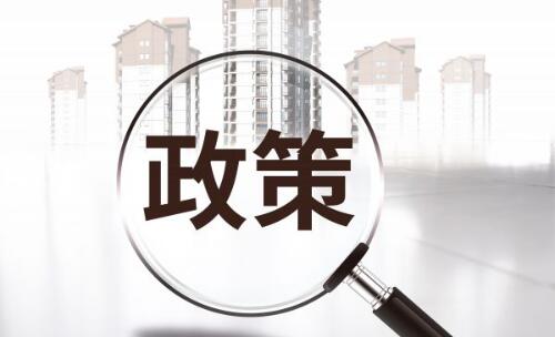 电信业务许可证年报